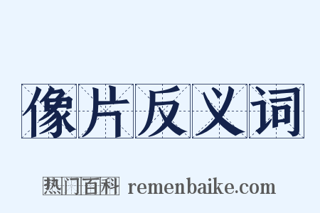 像片反义词是什么意思的图片